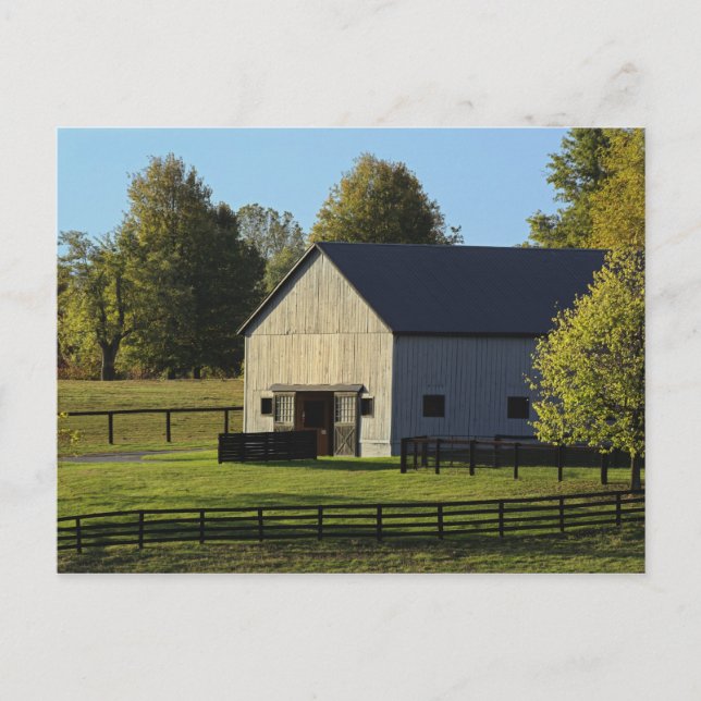 Barn on thoroughbred horse farm at sunrise, postcard (Front)