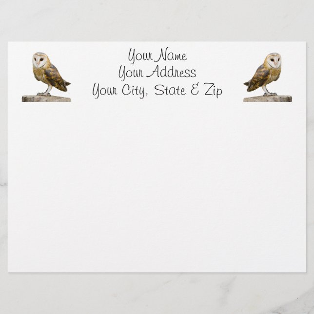 Barn Owl (Front)