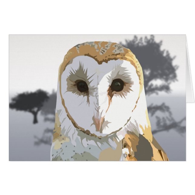Barn Owl (Front Horizontal)