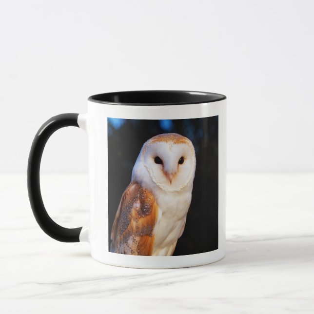 Barn Owl 2 Mug (Left)