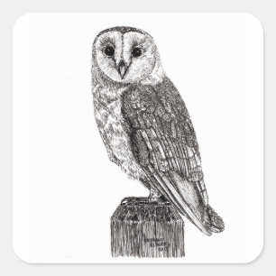 Barn Owl 2 Stickers