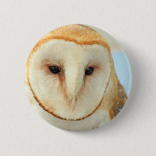 Barn owl 6 cm round badge