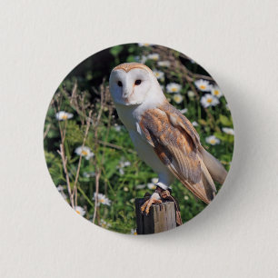Barn Owl 6 Cm Round Badge