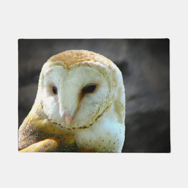 Barn Owl Against Night Clouds Doormat (Front)