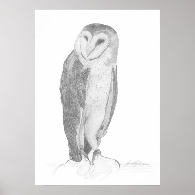Barn Owl | Art Print (Front)