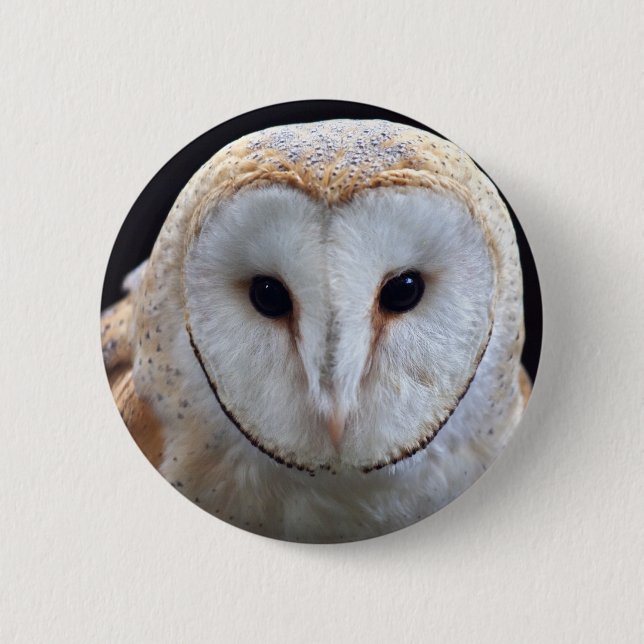 Barn Owl Badge (Front)