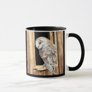 Barn owl Barn Window Animal  Bird  Mug