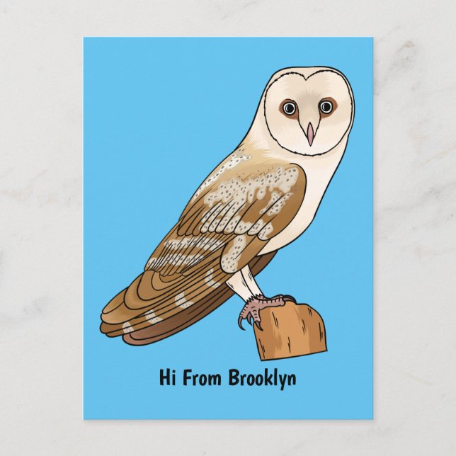 Barn owl bird cartoon illustration postcard (Front)
