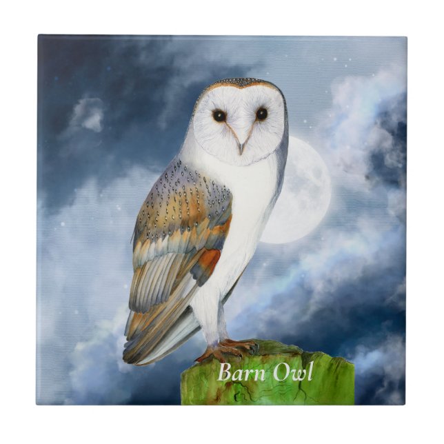 Barn Owl Bird Watercolor Painting Tile (Front)