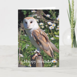 Barn Owl Birthday Card