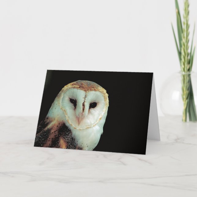 Barn Owl Blank Inside All Occassions Card (Front)