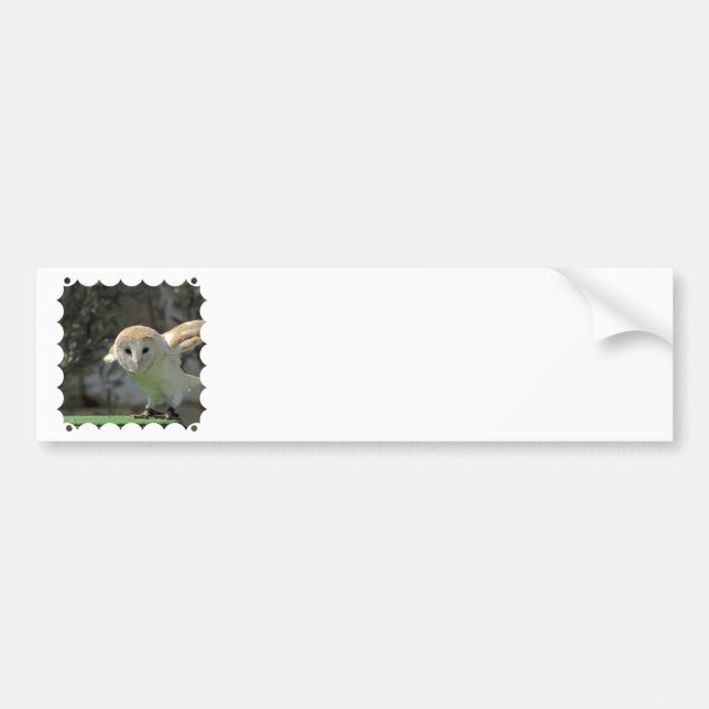 Barn Owl Bumper Sticker (Front)