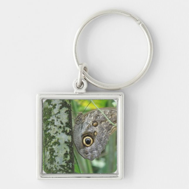 Barn Owl Butterfly Keychain (Front)