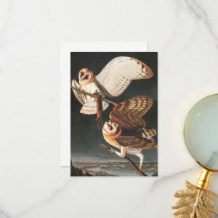 Barn Owl by John James Audubon Thank You Card