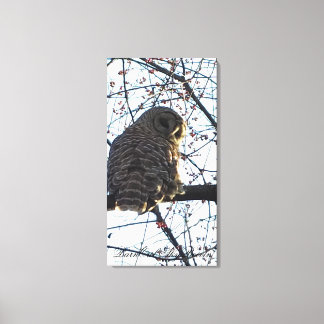 Barn Owl Canvas Print