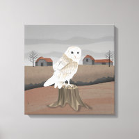 Barn Owl