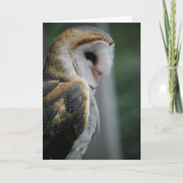 Barn Owl Card (Front)