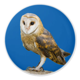 Barn Owl Ceramic Knob