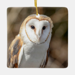 Barn Owl Ceramic Ornament