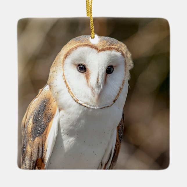 Barn Owl Ceramic Ornament (Front)