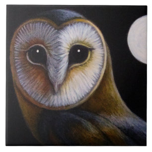 BARN OWL CLOSE UP & FULL MOON TILE