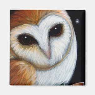 BARN OWL CLOSE UP Magnet