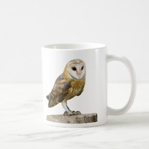 Barn Owl Coffee Mug