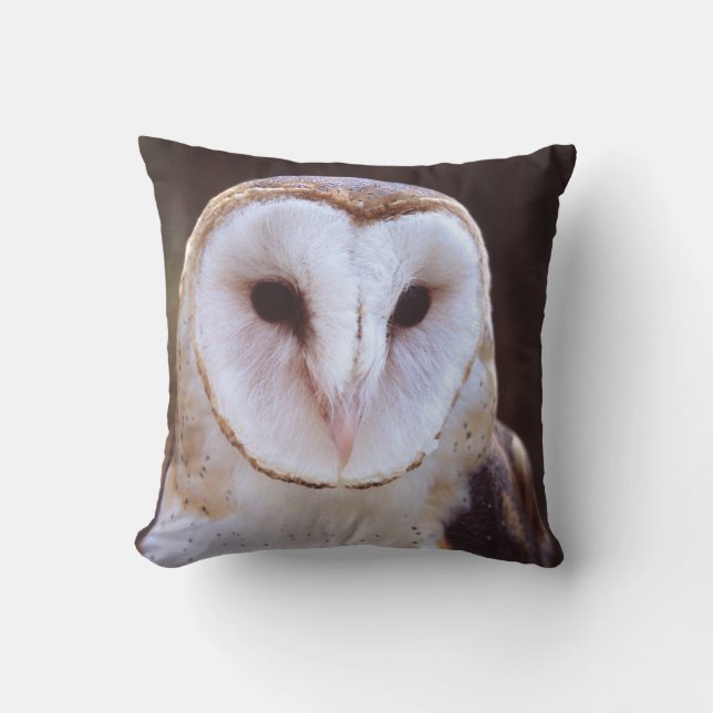 barn owl cushion (Front)