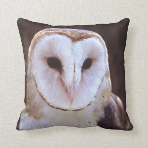 barn owl cushion