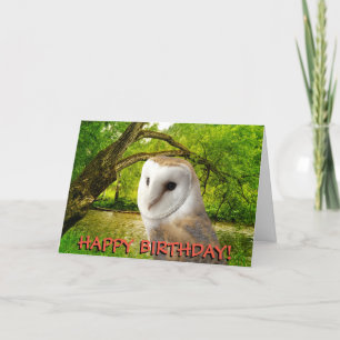 Barn owl customisable birthday card