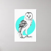 Barn Owl drawing In Black Pen on Turquoise
