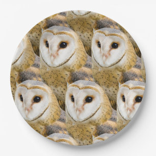 Barn Owl Faces Paper Plate