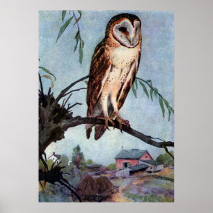Barn Owl, Farmhouse and Barn Poster