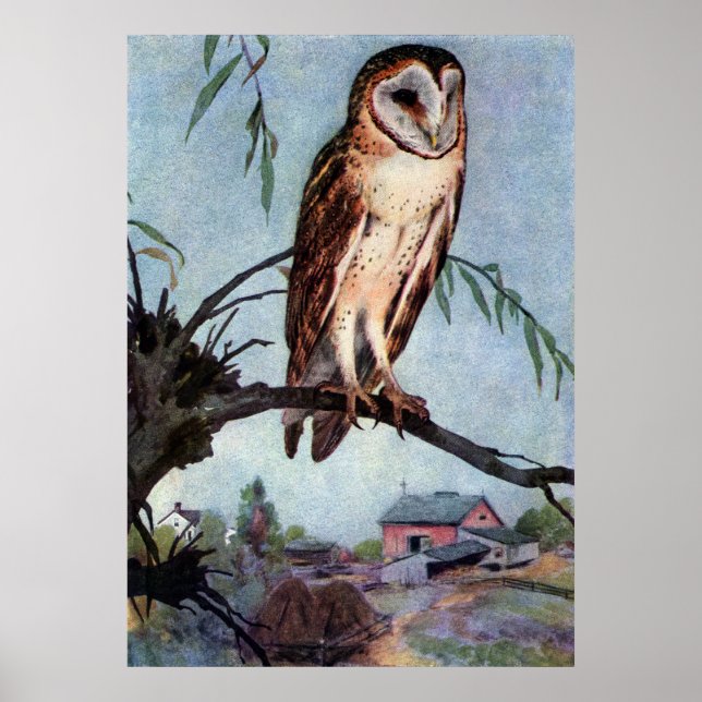 Barn Owl, Farmhouse and Barn Poster (Front)