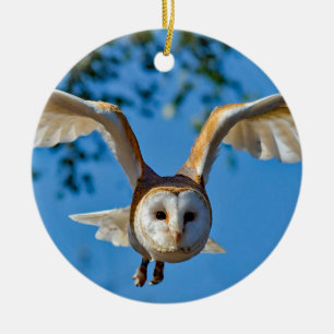 Barn Owl Flight Photo Ceramic Tree Decoration