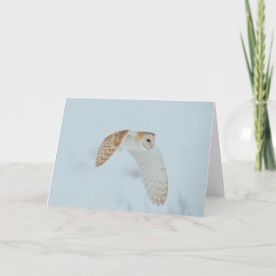 Barn owl flying in snow card