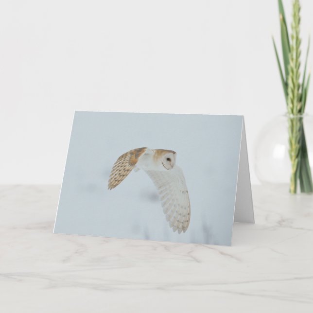 Barn owl flying in snow card (Front)