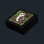 Barn Owl Gift Box<br><div class="desc">Western Barn Owl Gift Boxes - MIGNED Painting</div>