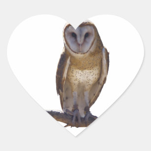 Barn Owl Heart Sticker