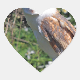 Barn Owl Heart Sticker
