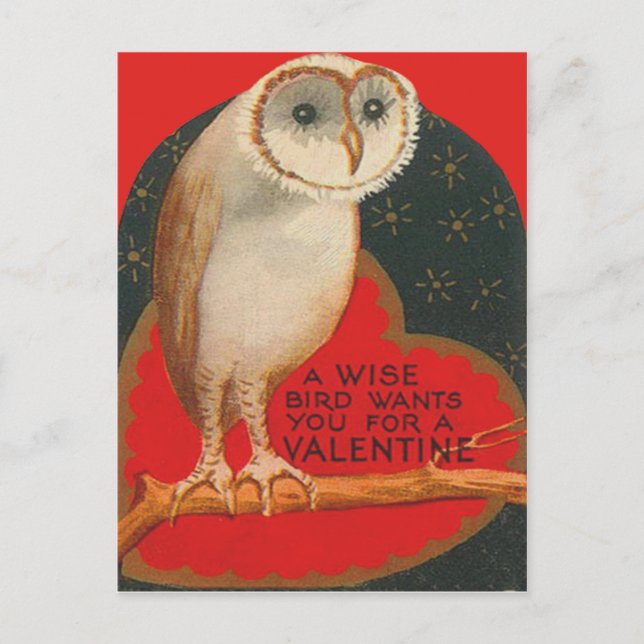 Barn Owl Heart Tree Stars Valentine Holiday Postcard (Front)
