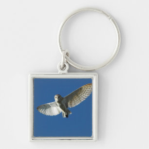 Barn Owl in Daytime Flight Key Ring