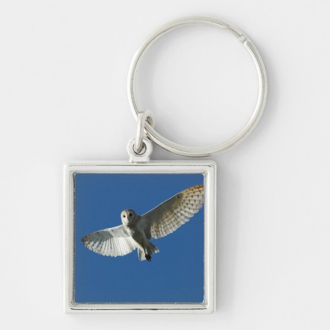 Barn Owl in Daytime Flight Key Ring (Front)