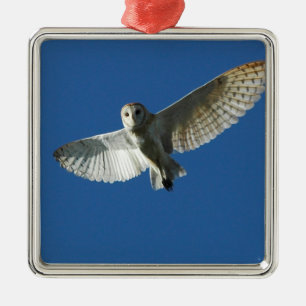 Barn Owl in Daytime Flight Metal Tree Decoration