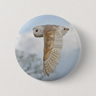 Barn Owl in Flight Badge