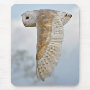 Barn Owl in Flight Mousemat