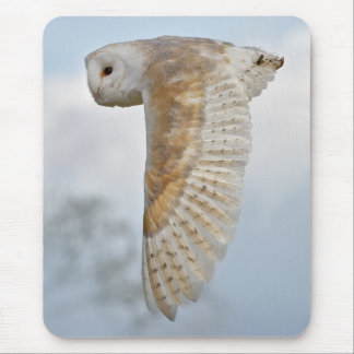 Barn Owl in Flight Mousemat