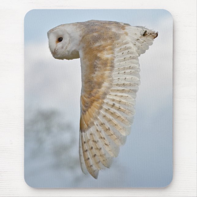 Barn Owl in Flight Mousemat (Front)