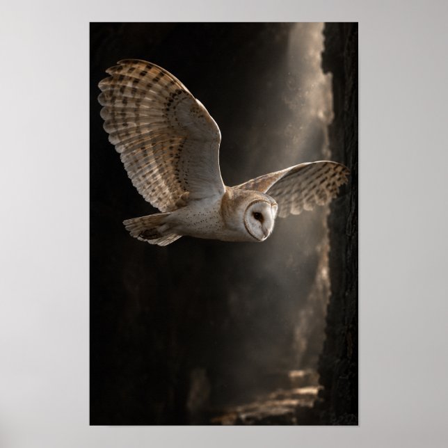 Barn Owl in Flight Through Dramatic Light Wildlife Poster (Front)