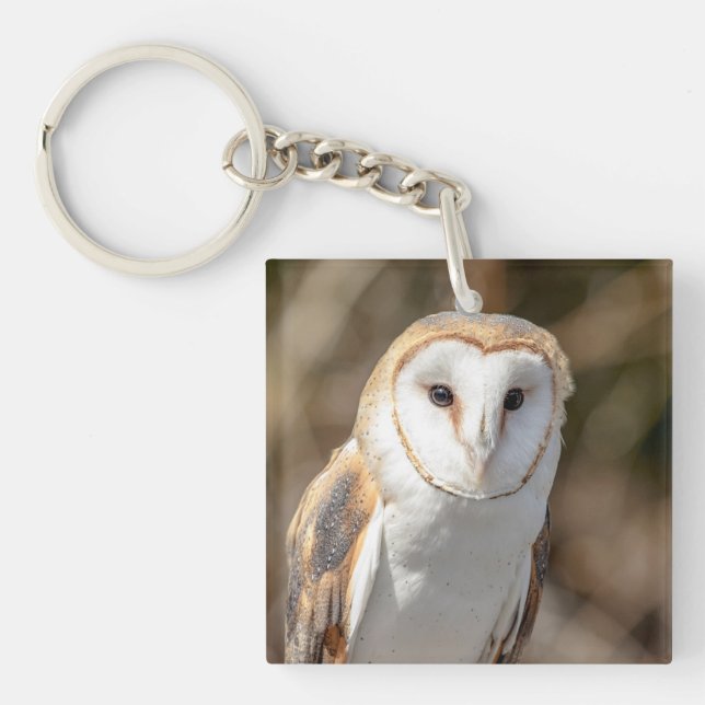 Barn Owl Key Ring (Front)